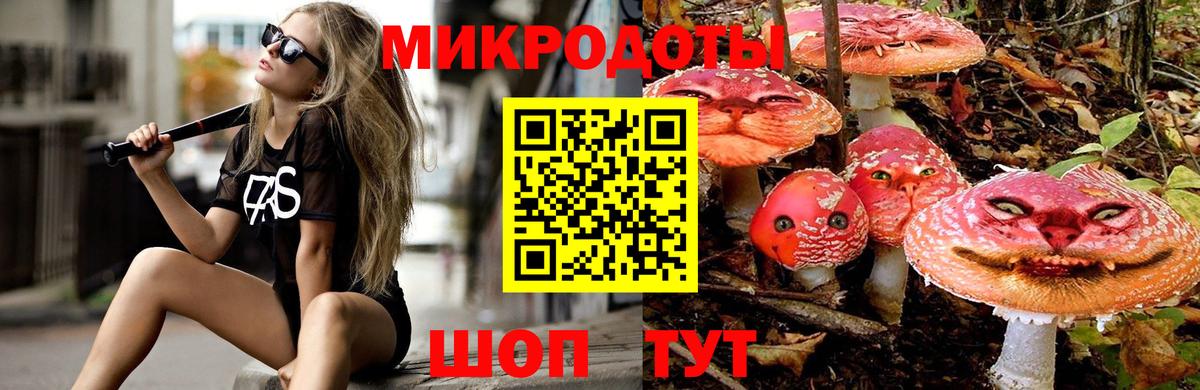 Анапа  Галлюциногенные грибы мицелий  Псилоцибиновые грибы Psilocybe  Вход с VPN 